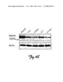 Rna Interference Suppression of Neurodegenerative Diseases and Methods of Use Thereof diagram and image