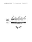 Rna Interference Suppression of Neurodegenerative Diseases and Methods of Use Thereof diagram and image