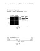 Rna Interference Suppression of Neurodegenerative Diseases and Methods of Use Thereof diagram and image