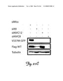 Rna Interference Suppression of Neurodegenerative Diseases and Methods of Use Thereof diagram and image