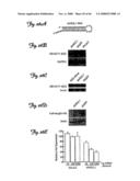 Rna Interference Suppression of Neurodegenerative Diseases and Methods of Use Thereof diagram and image