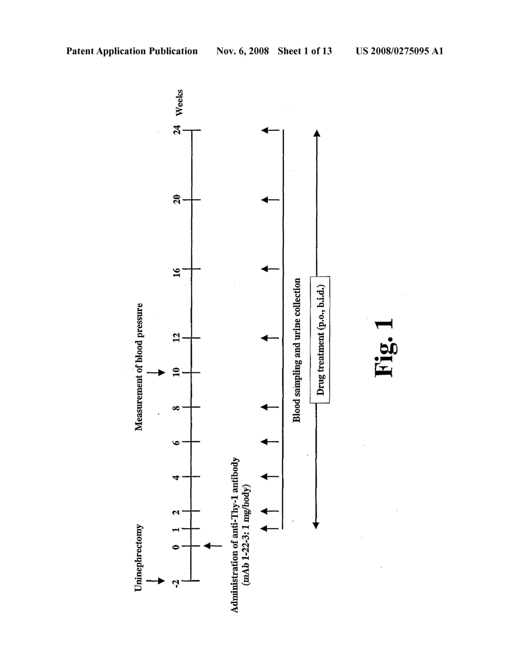 Combination of Prostaglandin E2 Receptor Antagonists and Renin-Angiotensin System Inhibitors for Treating Renal Diseases - diagram, schematic, and image 02