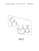 VACUOLAR-TYPE (H+)-ATPase-INHIBITING COMPOUNDS, COMPOSITIONS, AND USES THEREOF diagram and image