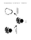 Pigmentary Deposition Portion Remote Diagnosis System diagram and image