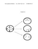 PREVENTION OF DISPLACEMENT OF PROSTHETIC DEVICES WITHIN ANEURYSMS diagram and image