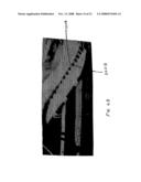 Stable Footwear that Accommodates Shear Forces diagram and image