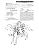 PET SUPPORT SUIT AND METHOD FOR MANUFACTURING THE SAME diagram and image