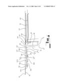 Apparatus and Method For Lining Conduits diagram and image