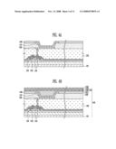 ORGANIC LIGHT EMITTING DISPLAY DEVICE diagram and image