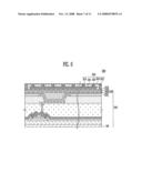 ORGANIC LIGHT EMITTING DISPLAY DEVICE diagram and image