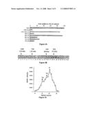 Dna Replication Modulating Peptides, Nucleic Acids Encoding Them, and Their Use in Pharmaceutical Compositions diagram and image