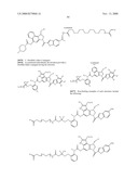 Antibody-Drug Conjugates and Methods of Use diagram and image