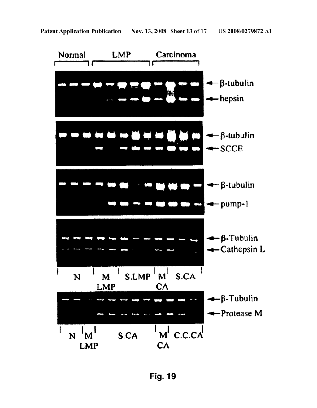 Immunotherapeutic methods targeted toward stratum corneum chymotryptic enzyme - diagram, schematic, and image 14