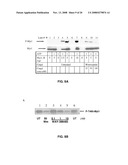 COMPOSITIONS AND METHODS FOR MODULATION OF PLK1 KINASE ACTIVITY diagram and image