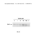 COMPOSITIONS AND METHODS FOR MODULATION OF PLK1 KINASE ACTIVITY diagram and image