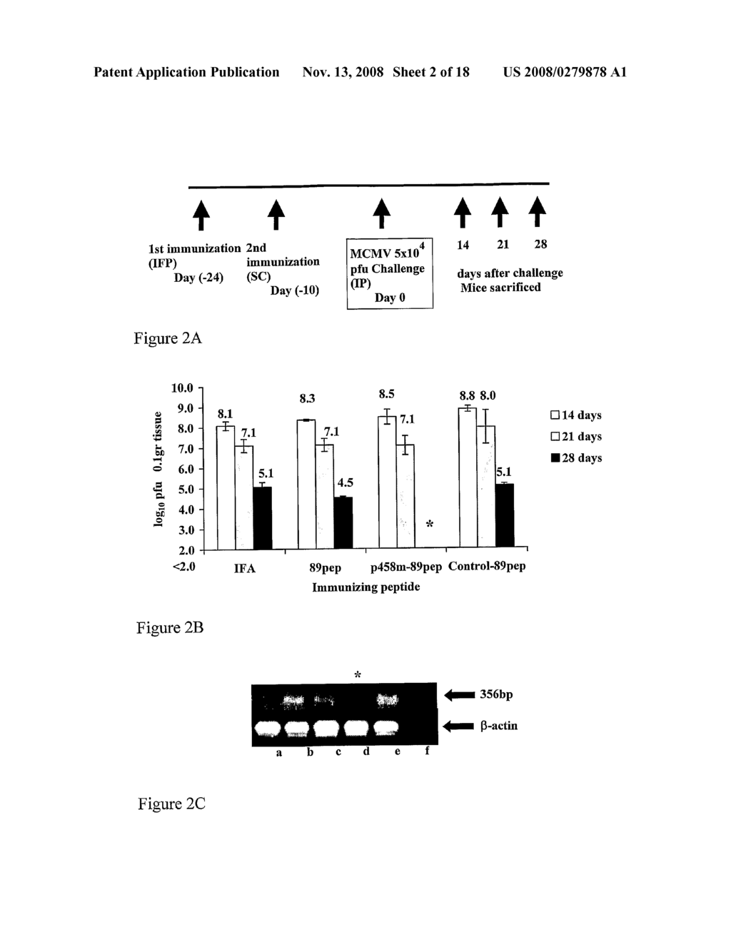 Compositions of Hsp60 Peptides and Viral Antigens for Vaccination and Diagnosis - diagram, schematic, and image 03