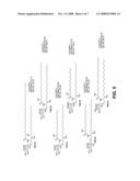 Bacterial Glycolipid Activation of Cd1d-Restricted Nkt Cells diagram and image