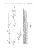 Bacterial Glycolipid Activation of Cd1d-Restricted Nkt Cells diagram and image