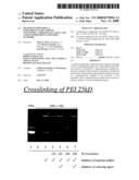 Method of preparing a supramolecular complex containing a therapeutic agent and a multi-dimensional polymer network diagram and image