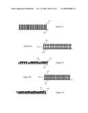 Dynamically Tunable Fibrillar Structures diagram and image