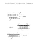 Dynamically Tunable Fibrillar Structures diagram and image