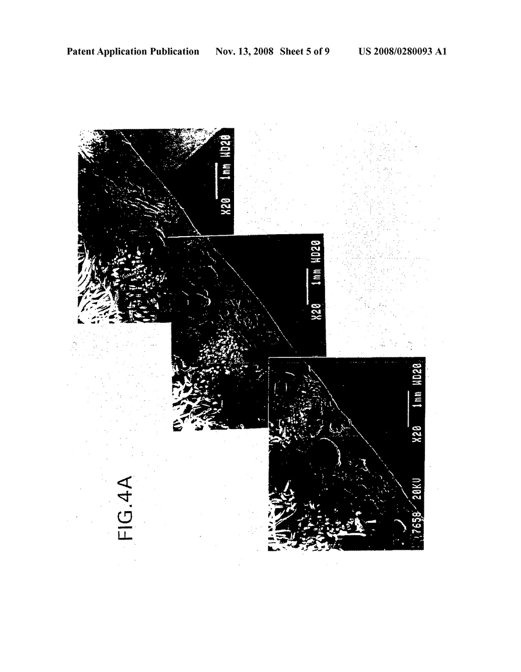 HOMOGENOUSLY BRANCHED ETHYLENE POLYMER CARPET BACKSIZING COMPOSITIONS - diagram, schematic, and image 06