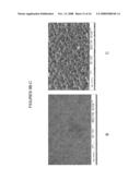 POROUS PARTICLES AND METHODS OF MAKING THEREOF diagram and image