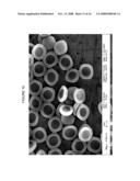 POROUS PARTICLES AND METHODS OF MAKING THEREOF diagram and image