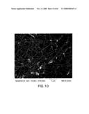 Nanowire structures comprising carbon diagram and image