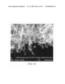 Nanowire structures comprising carbon diagram and image