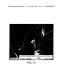 Nanowire structures comprising carbon diagram and image