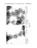 Nanowire structures comprising carbon diagram and image