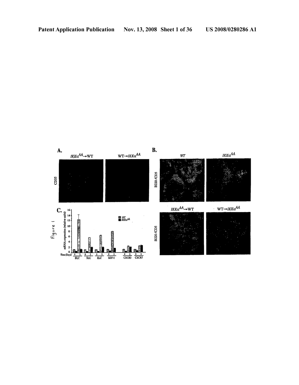 Compositions and Methods for Gene Expression - diagram, schematic, and image 02