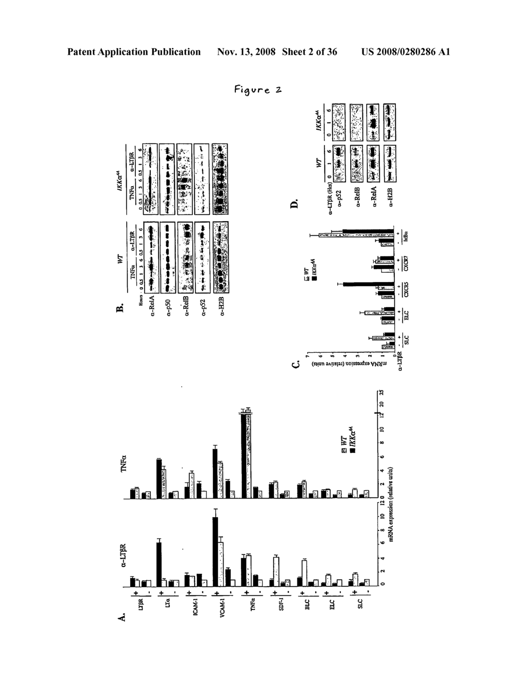 Compositions and Methods for Gene Expression - diagram, schematic, and image 03