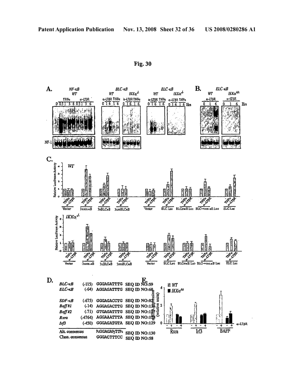 Compositions and Methods for Gene Expression - diagram, schematic, and image 33