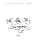 Lrp4/Corin DOPAMINERGIC NEURON PROLIFERATIVE PROGENITOR CELL MARKERS diagram and image