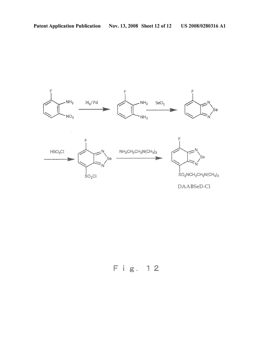 Method of Detection, Separation and Identification for Expressed Trace Protein/Peptide - diagram, schematic, and image 13