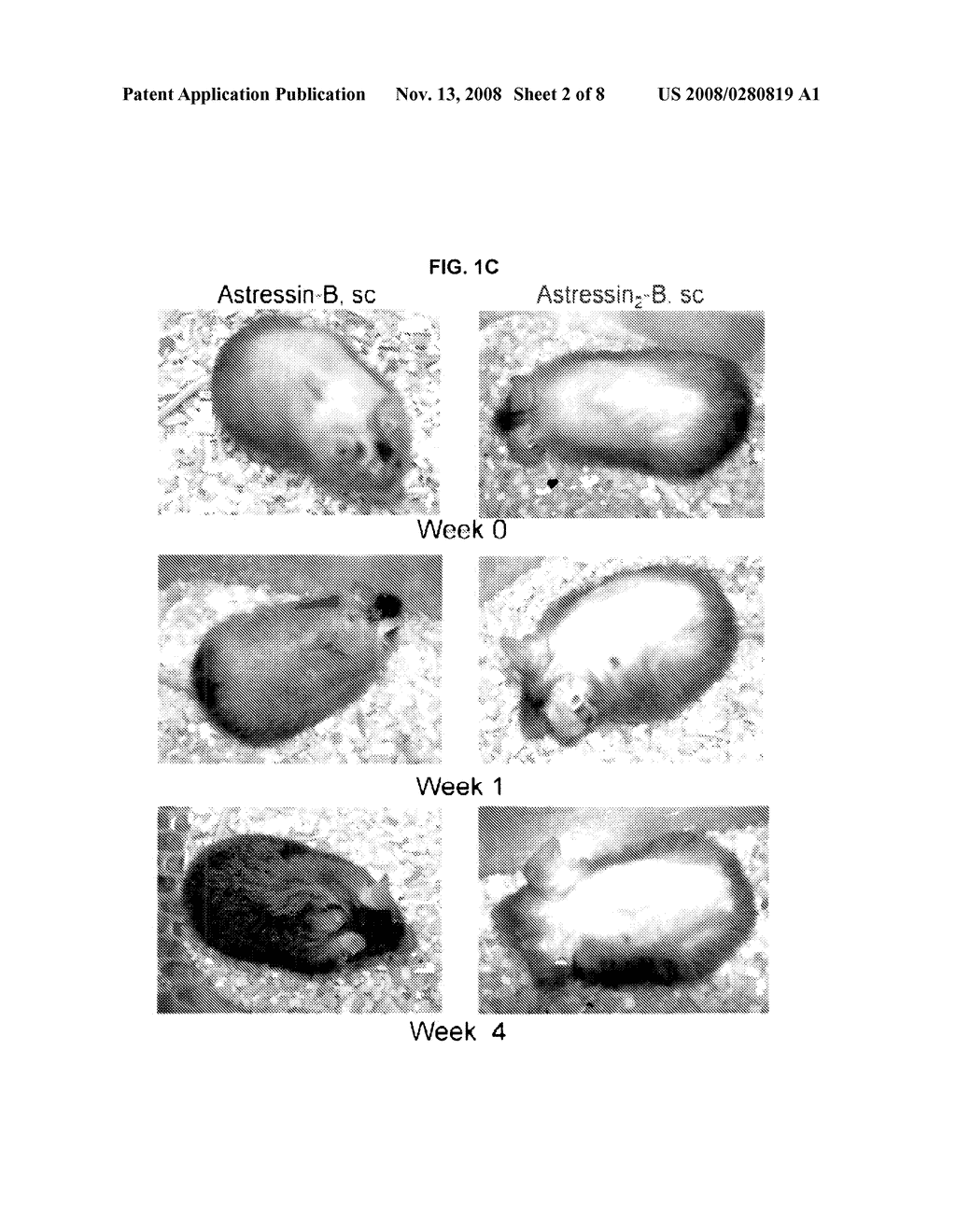 METHODS FOR PROMOTING HAIR GROWTH - diagram, schematic, and image 03