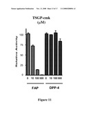 Fibroblast Activation Protein Inhibitor Compounds and Methods diagram and image