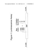 Pyrazole or Triazole Compounds and Their Use for the Manufacture of a Medicament for Treating Somatic Mutation-Related Diseases diagram and image