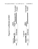 Pyrazole or Triazole Compounds and Their Use for the Manufacture of a Medicament for Treating Somatic Mutation-Related Diseases diagram and image