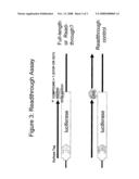 Pyrazole or Triazole Compounds and Their Use for the Manufacture of a Medicament for Treating Somatic Mutation-Related Diseases diagram and image