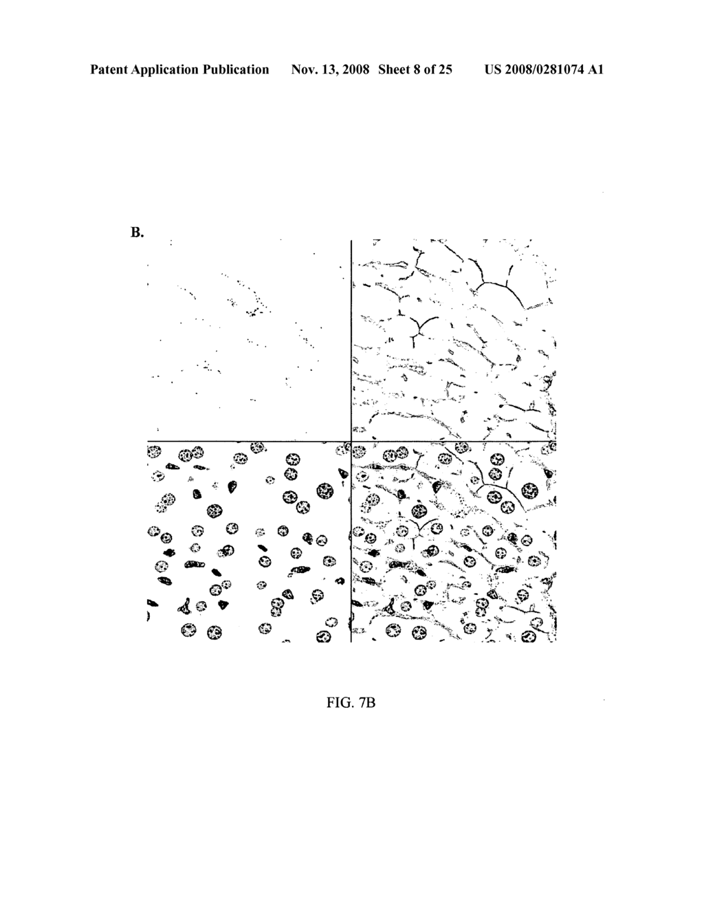 Compounds and Methods for Reversible Modification of Biologically Active Molecules - diagram, schematic, and image 09