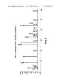 Pure paliperidone and processes for preparing thereof diagram and image