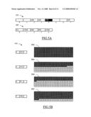 Garbage collection in storage devices based on flash memories diagram and image