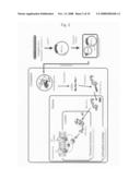 Method of Constructing Novel Higher Plant and Method of Promoting the Growth of Higher Plant diagram and image