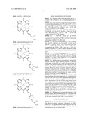 Beta-Substituted Porphyrins diagram and image