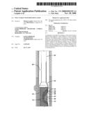 WELL SCREEN WITH DIFFUSION LAYER diagram and image