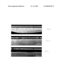 Material for Forming Capacitor Layer and Method for Manufacturing the Material for Forming Capacitor Layer diagram and image