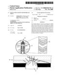 Device for Examining Rotor Drilled Holes diagram and image